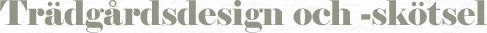 Trädgårdsdesign och trädgårdsskötsel